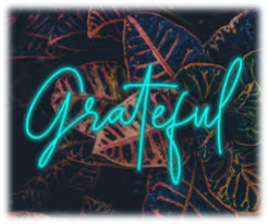 Grateful neon sign in front of plants