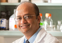 Kumar N. Alagramam, Ph.D.