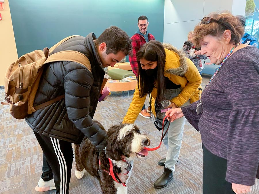 Students pet a dog in a common space at NEOMED.