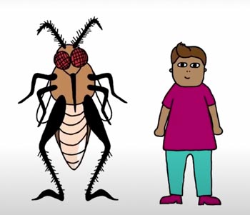 A cartoon mosquito standing next to a human.