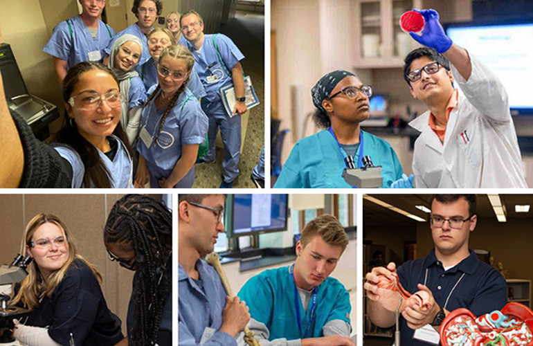 A colllage of photos from previous helath career bootcamps